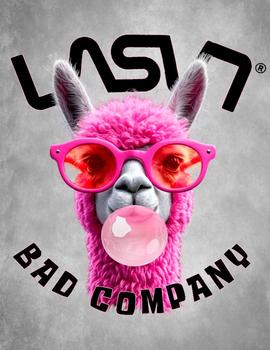 Camiseta La Sal Chica Llama rosa