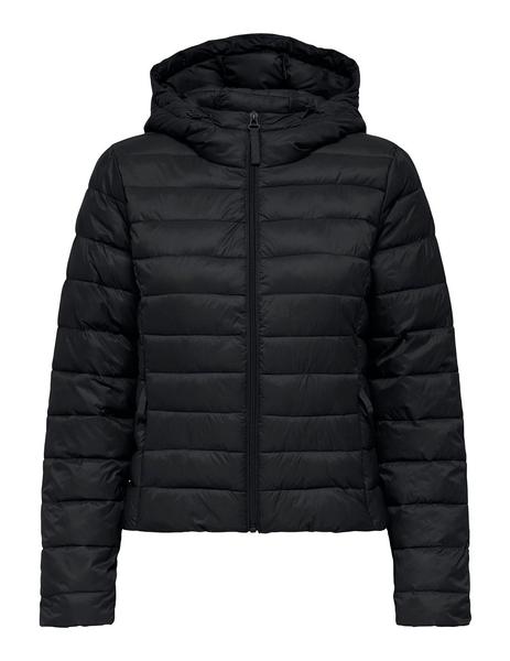 Gallery a10115 fxqxfd4v