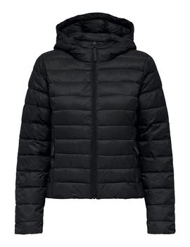 Thumb a10115 fxqxfd4v