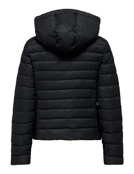 Gallery a10115 w9hpdpy6