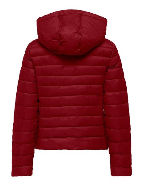 Gallery a10114 gp09edd1