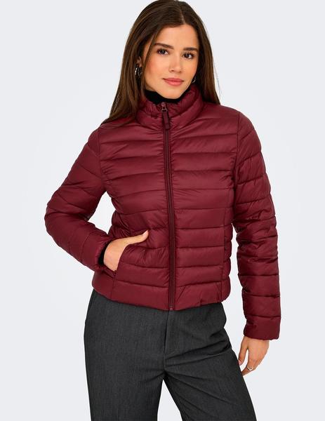 Gallery a10143 jwyargai