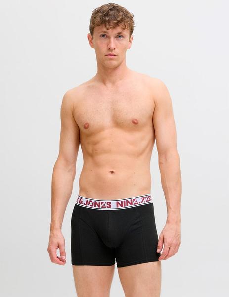 Gallery a10125 bcscepji