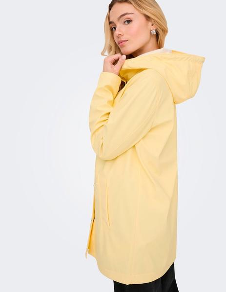 Gallery a10724 234zsgpd