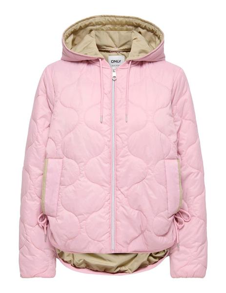 Gallery a10707 edmonvis