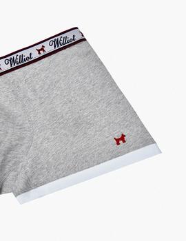 Gallumbos Williot gris